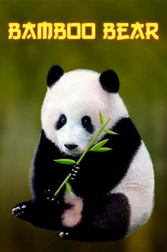 Bamboo Bear